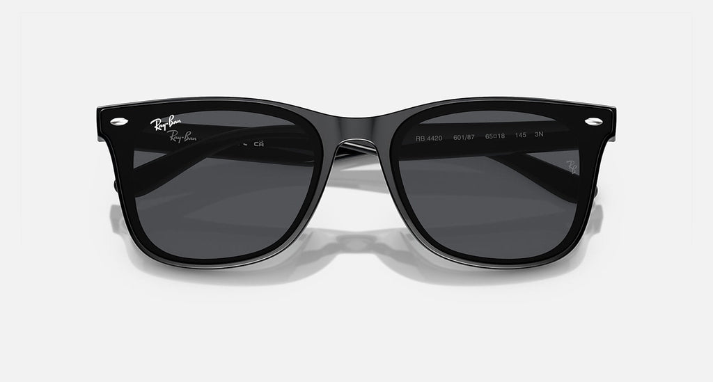 Ray-Ban WAYFARER CLASSIC sunglasses