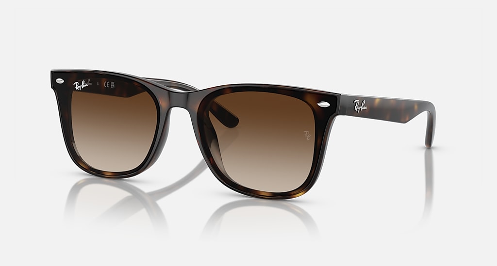Ray-Ban WAYFARER CLASSIC sunglasses